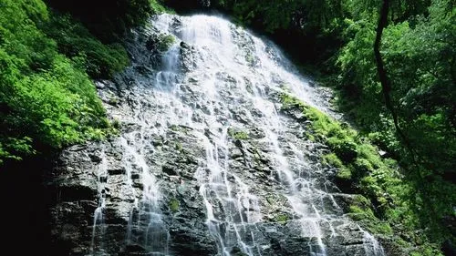独特可靠性高效